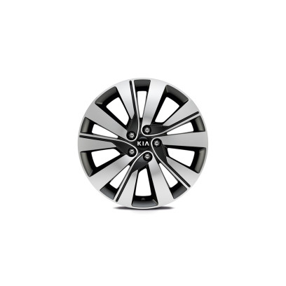 Alloy wheel 19''..