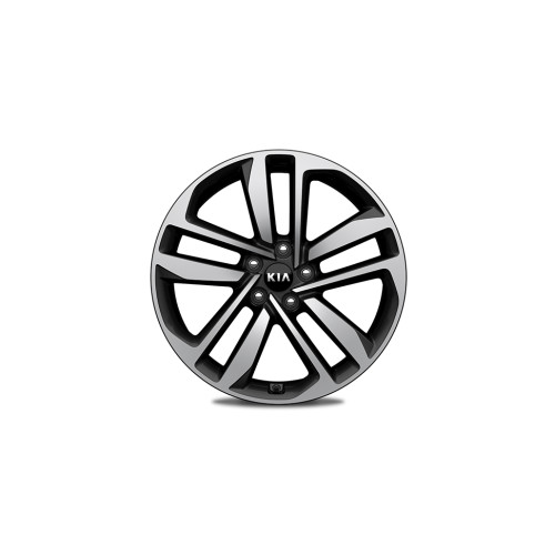 Alloy wheel 19''