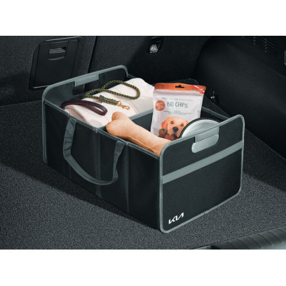 Trunk organizer, foldable