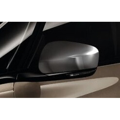 Door mirror casings -..