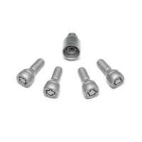 Gray M12 anti-theft locks for alloy wheels 