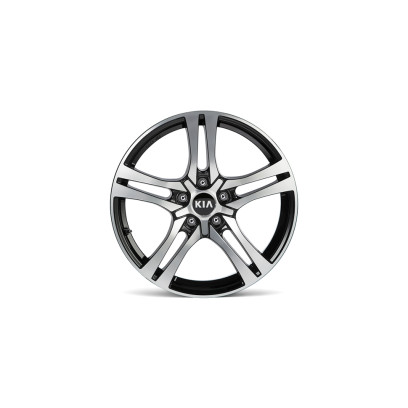 Alloy wheel 18'', Gan..