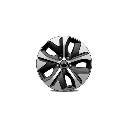 Alloy wheel kit 17